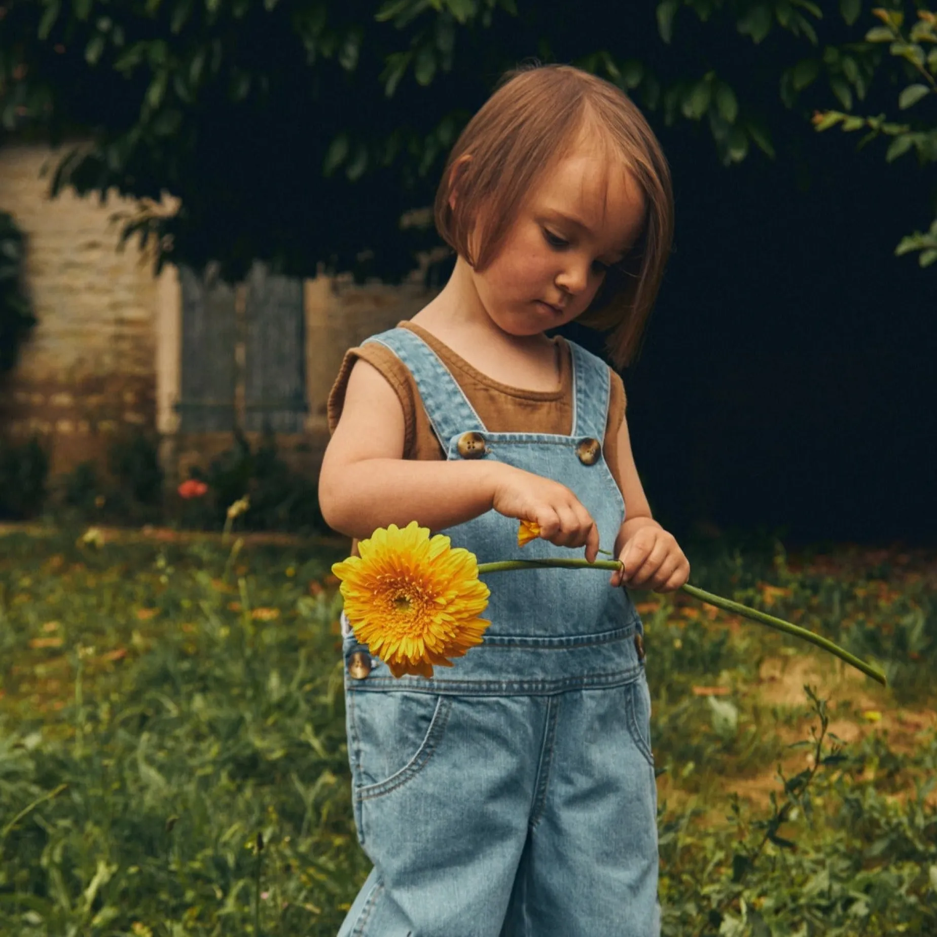 Poudre Organic T-shirts & Débardeurs | T-shirts | DÉBARDEUR CEYLAN Toffee