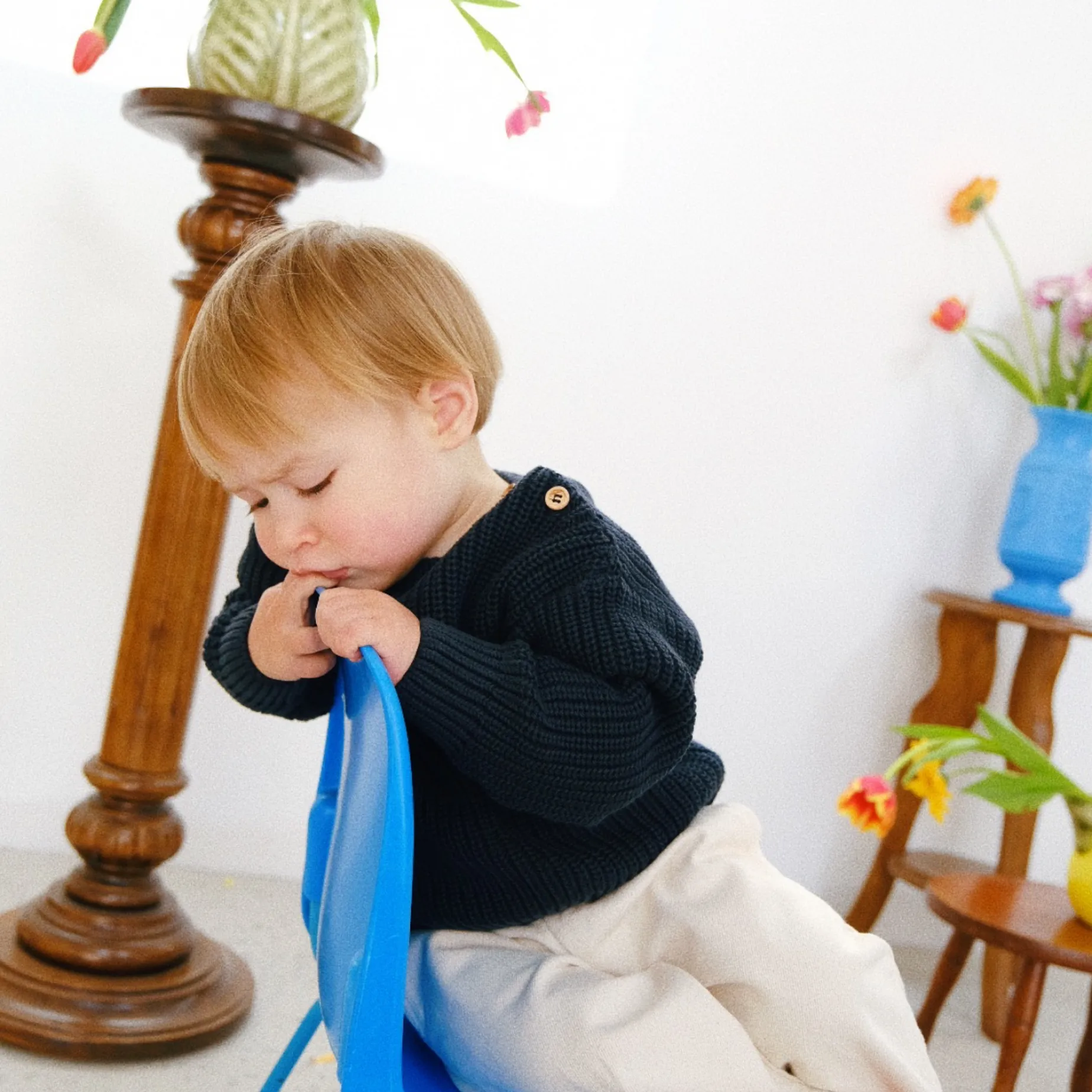 Poudre Organic Pulls | Pulls | PULL PISSENLIT COTON Charbon