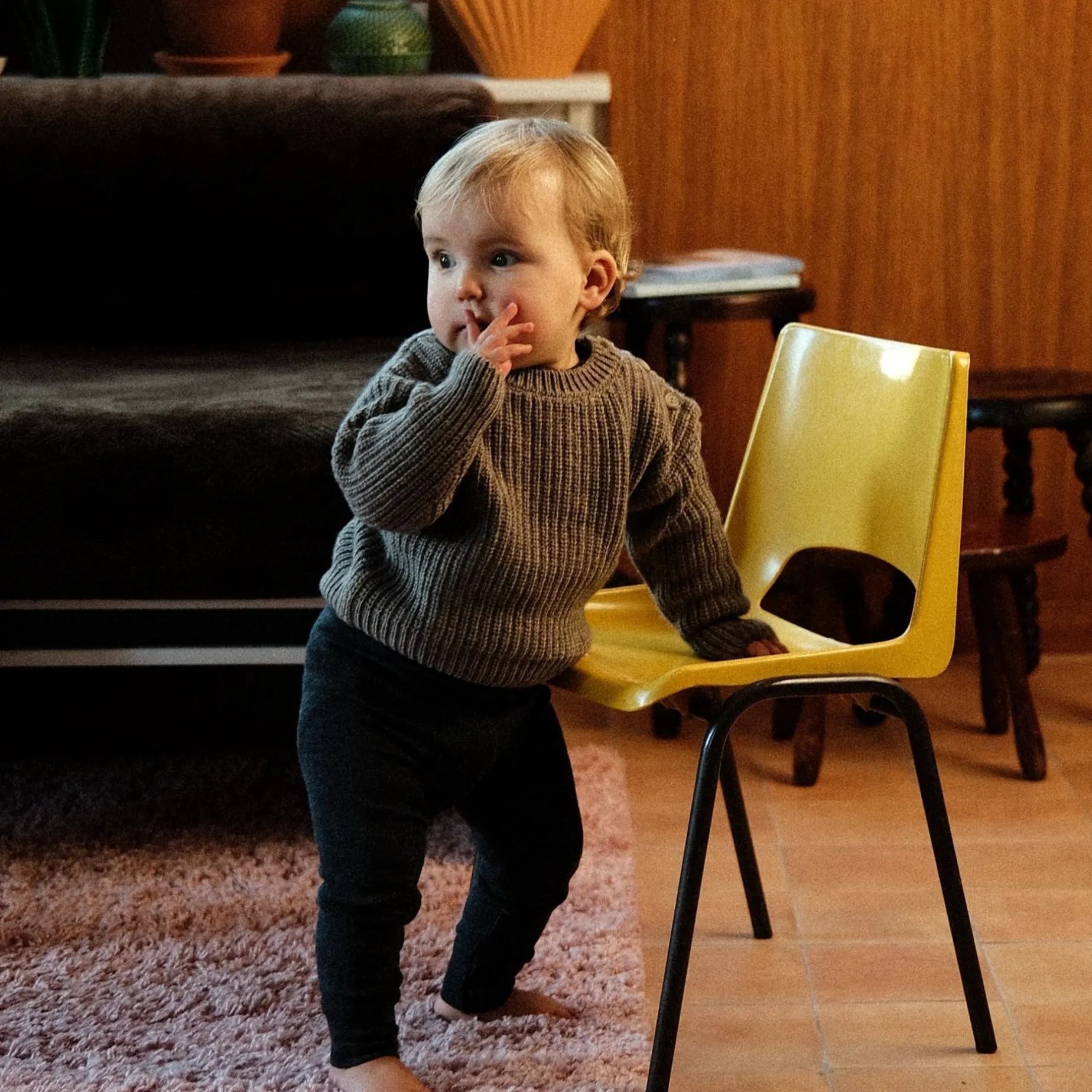 Poudre Organic Pulls | Pulls | PULL PISSENLIT LAINE Castor