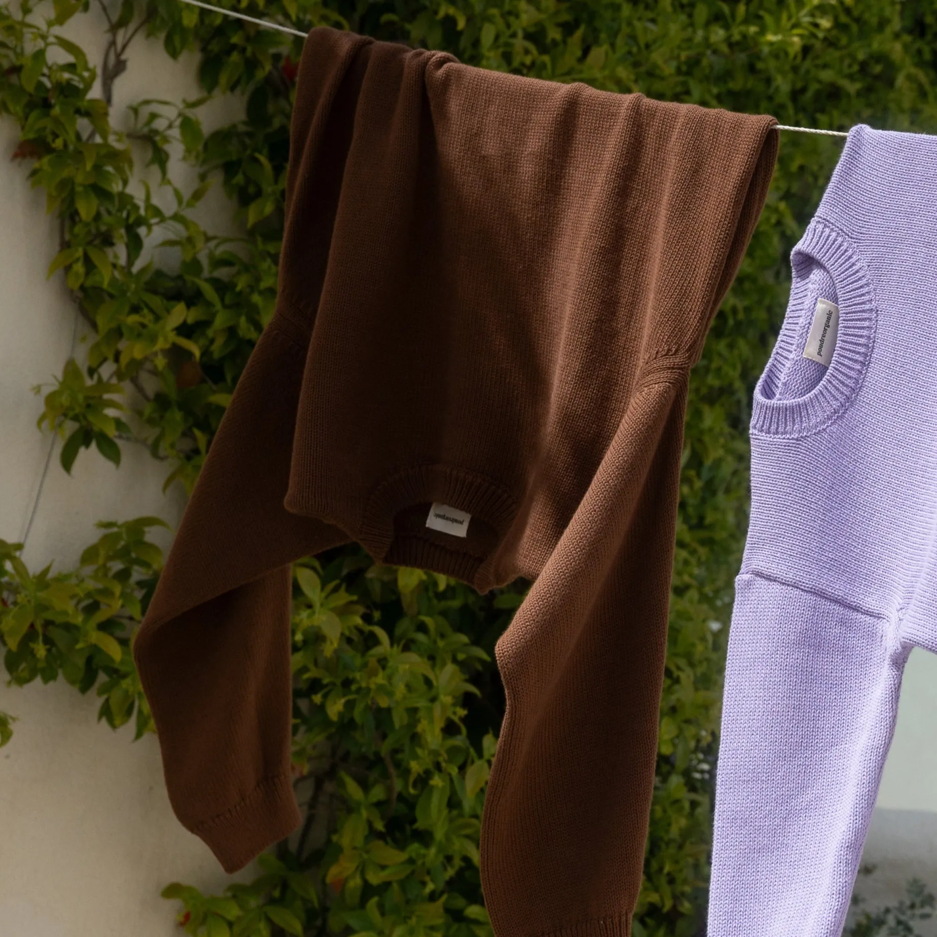 Poudre Organic Pulls | PULL THÉ ADULTE Noisette