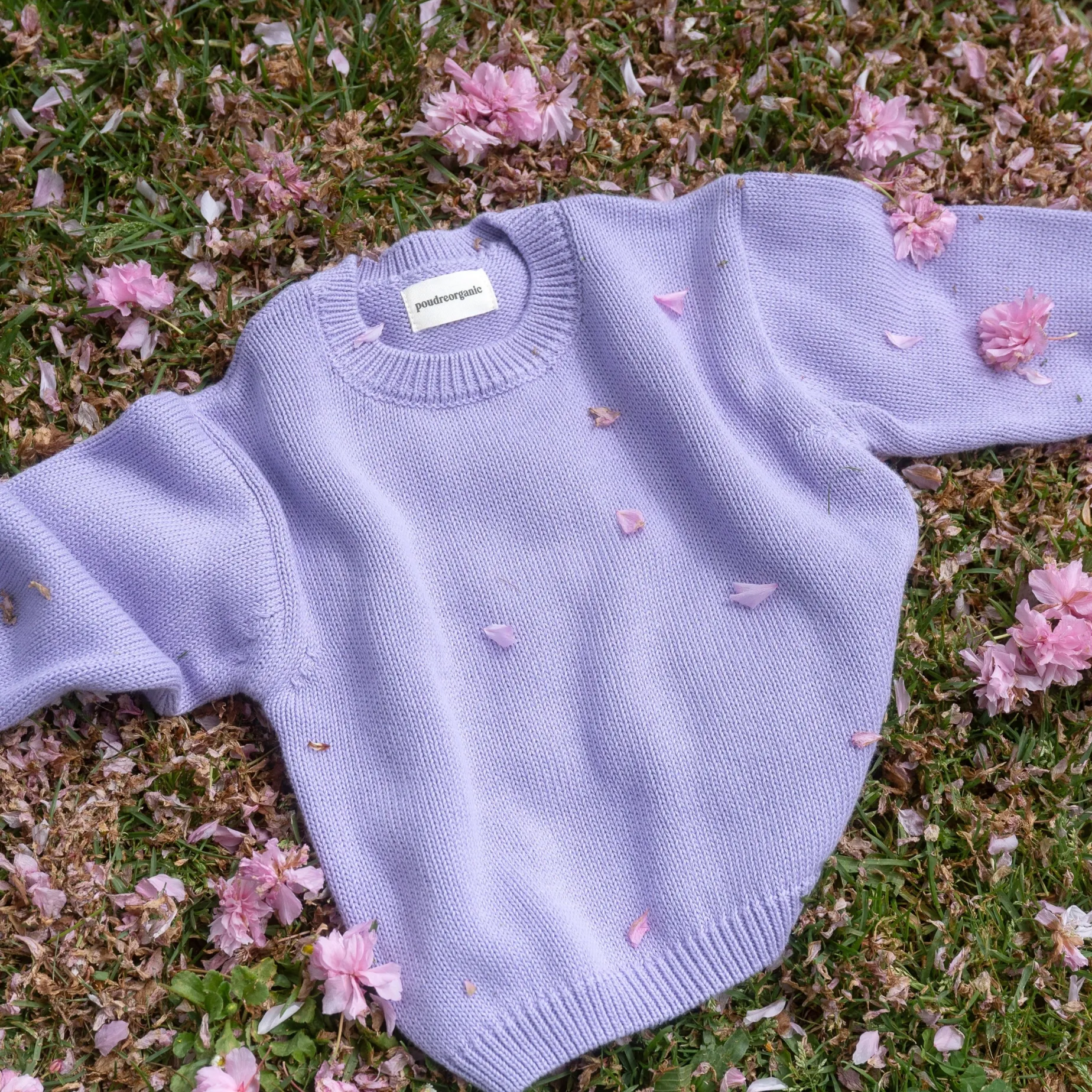 Poudre Organic Pulls | PULL THÉ Lavender