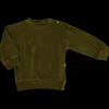 Poudre Organic Sweatshirts | Sweatshirts | SWEATSHIRT CASSANDRE VELOURS Fir Green FirGreen