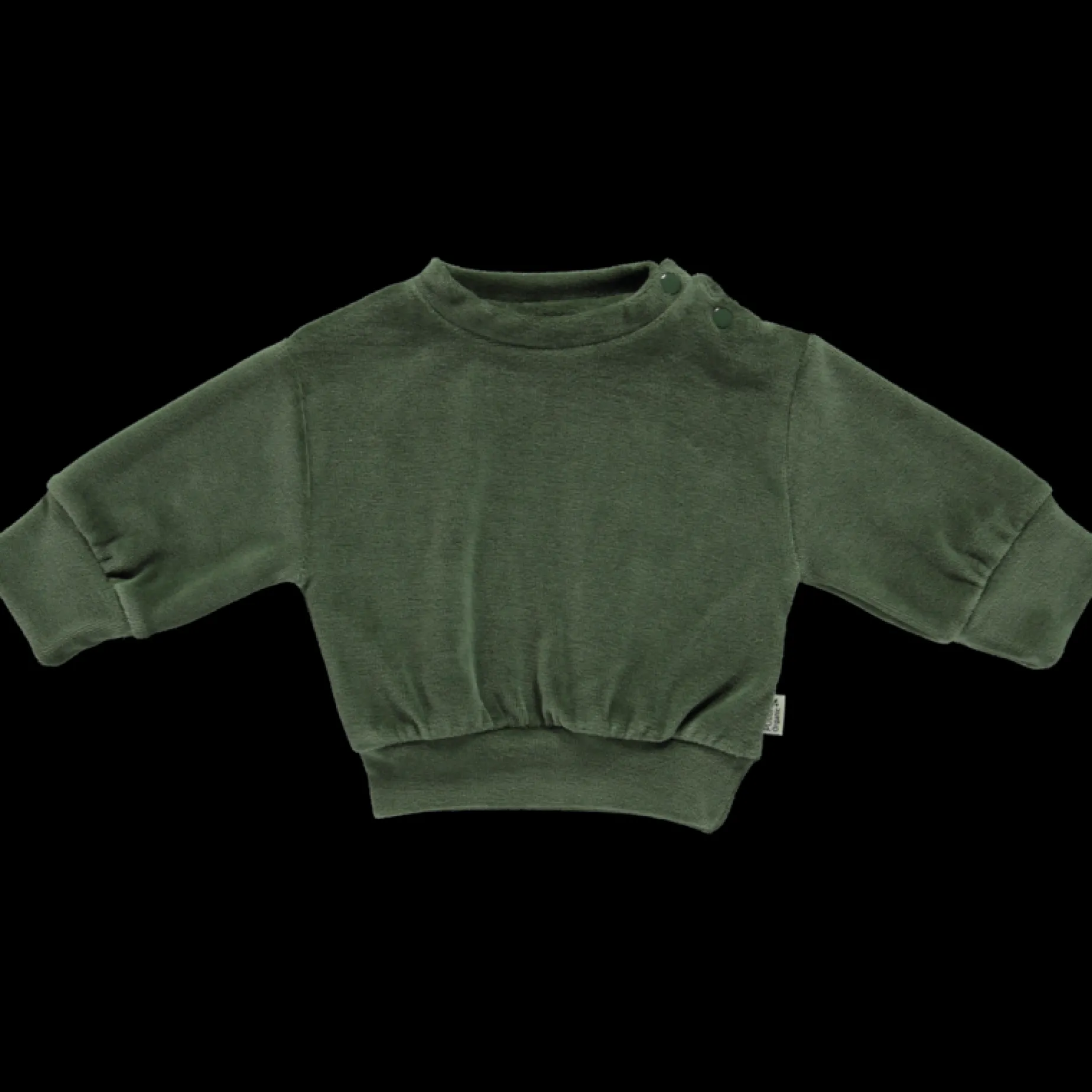 Poudre Organic Sweatshirts | Sweatshirts | SWEATSHIRT CASSANDRE VELOURS Forest Green ForestGreen