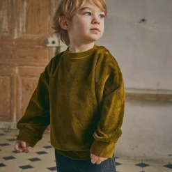 Poudre Organic Sweatshirts | Sweatshirts | SWEATSHIRT CASSANDRE VELOURS Fir Green FirGreen