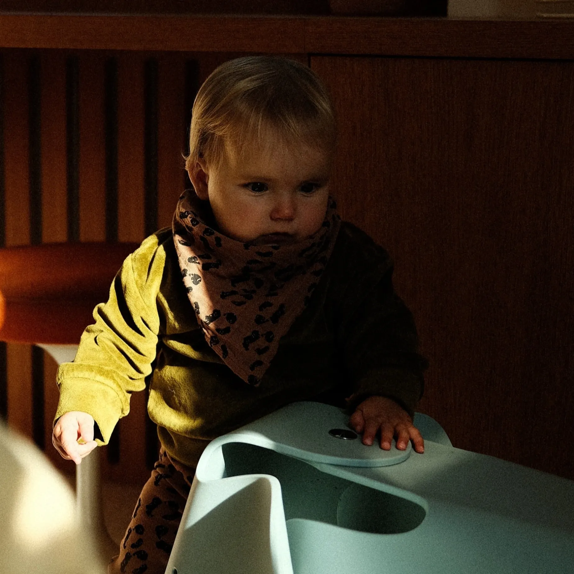 Poudre Organic Sweatshirts | Sweatshirts | SWEATSHIRT CASSANDRE VELOURS Fir Green FirGreen